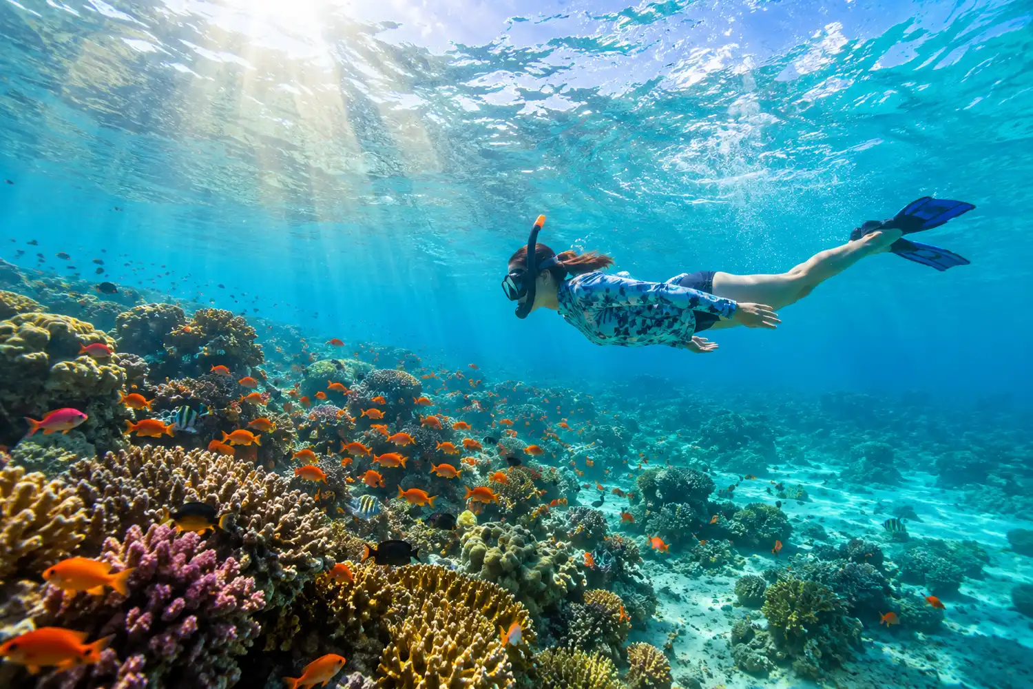 Snorkeling